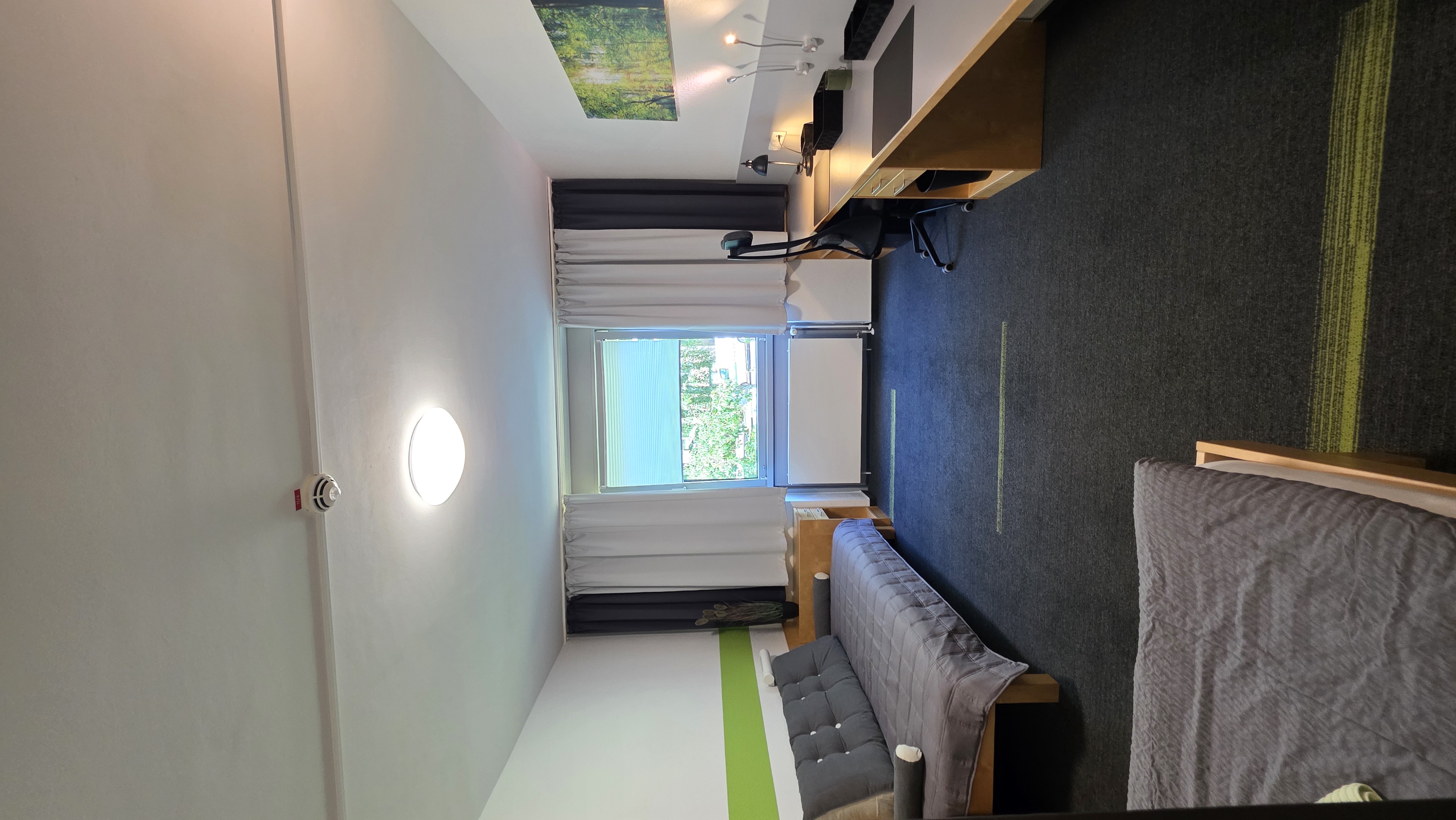 Galeriebild
